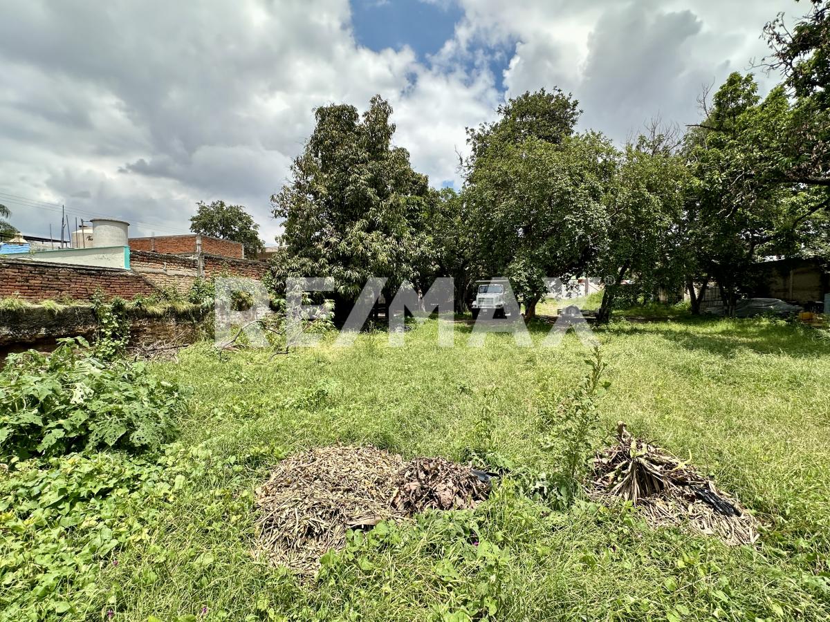 Terreno Ideal Para Desarrollar en Santa Maria Tequepexpan, San Pedro Tlaquepaque en Santa María Tequepexpan, San Pedro Tlaquepaque - foto 15 de 18