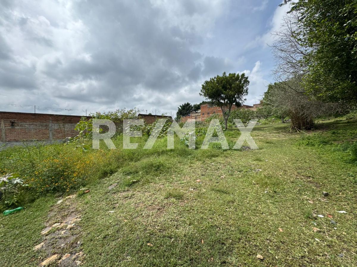 Terreno en Venta Centro Tonalá