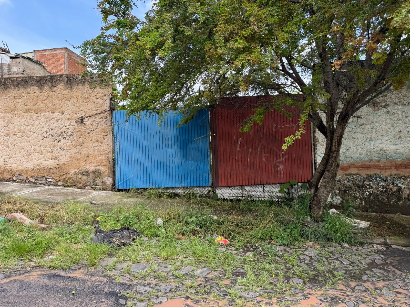 Terreno en Venta Centro Tonalá