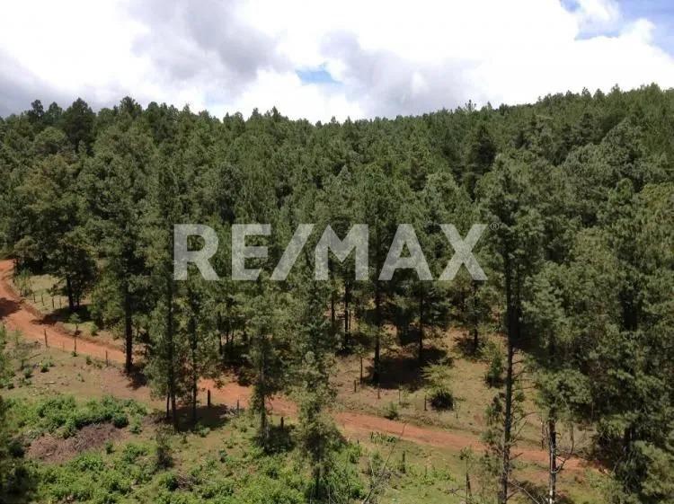 Terreno en Venta en Tapalpa