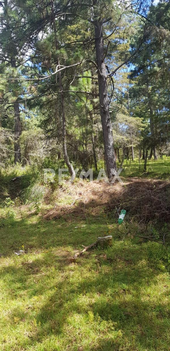 Terreno en Venta en Tapalpa