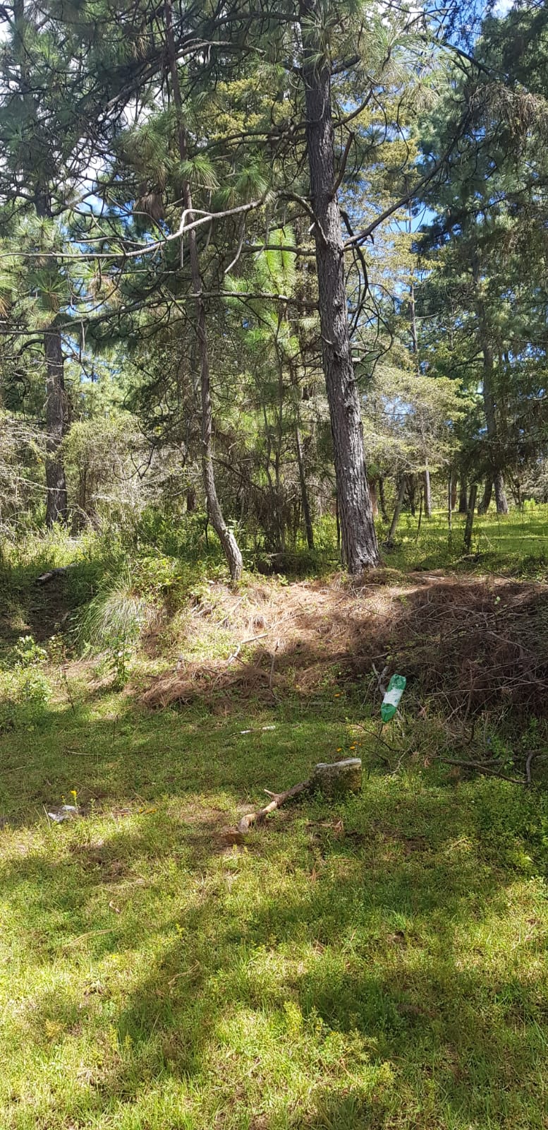 Terreno en Venta en Tapalpa en Los Espinos, Tapalpa - foto 5 de 6