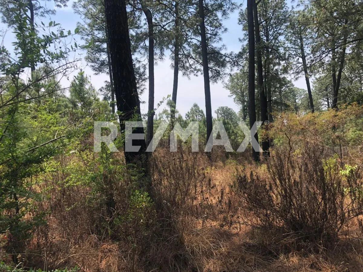 Terreno en Venta en Tapalpa