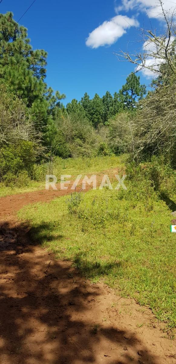 Terreno en Venta en Tapalpa