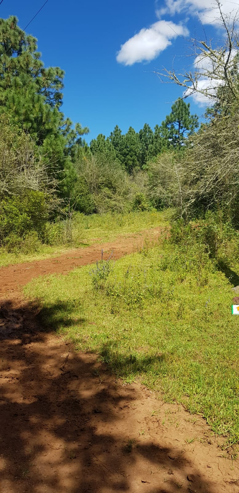 Terreno en Venta en Tapalpa en Los Espinos, Tapalpa - foto 6 de 6