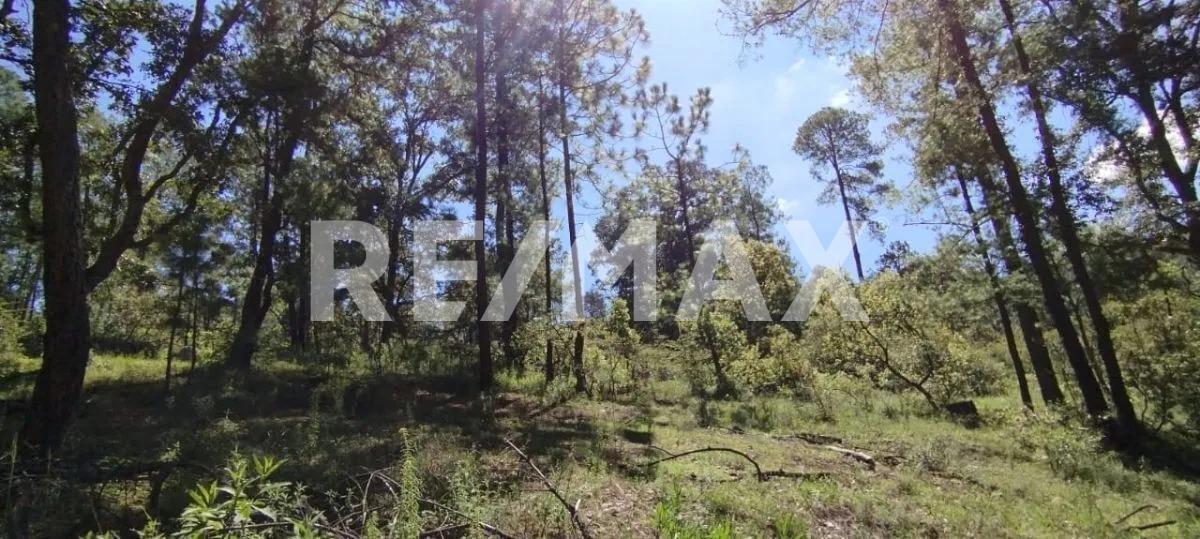 Terreno en Venta en Tapalpa