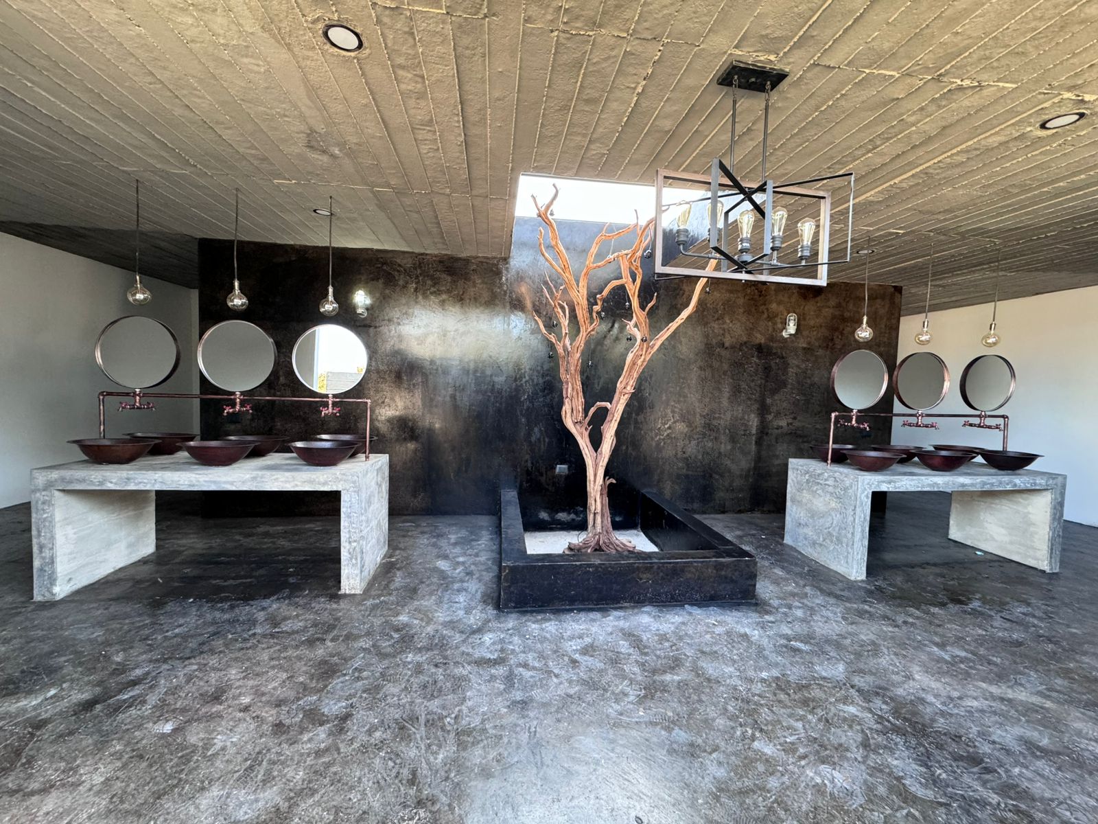 Local en Venta en BUENAVISTA, Tlajomulco de Zúñiga - foto 8 de 56