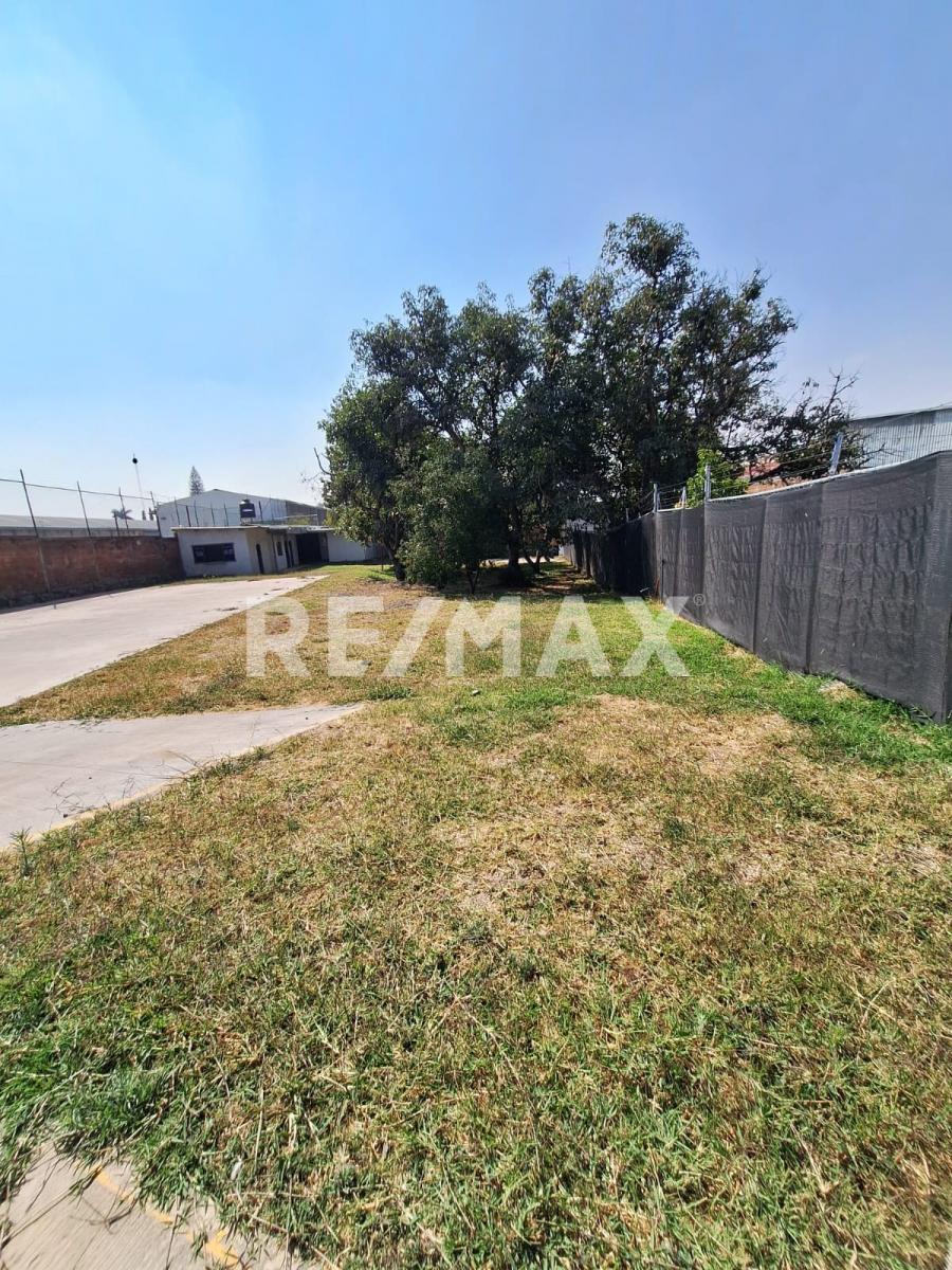 Terreno en Renta en LA CIMA, Zapopan - foto 8 de 35