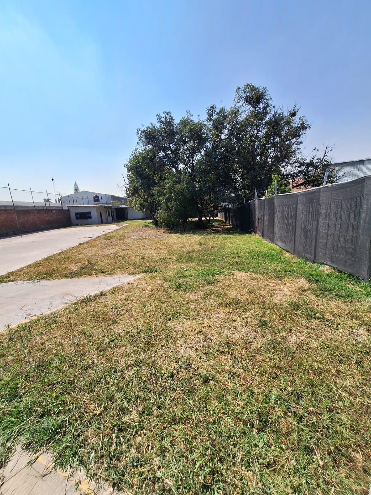 Terreno en Renta  en LA CIMA, Zapopan - foto 8 de 35