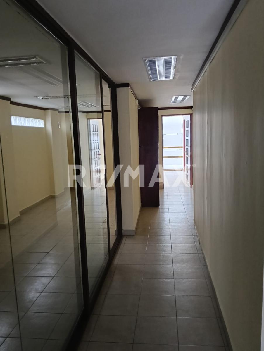 OFFICE RENTAL IN COLONIA ANZURES, MIGUEL HIDALGO BOROUGH, CDMX