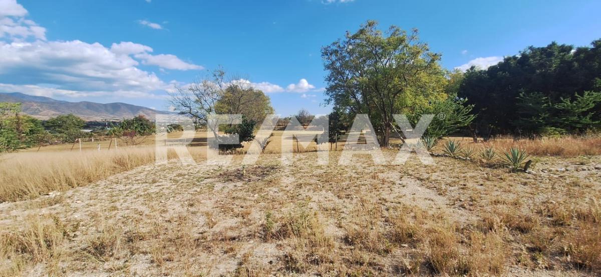 LAND FOR SALE WITH EXCELLENT VIEW IN EL TULE.
