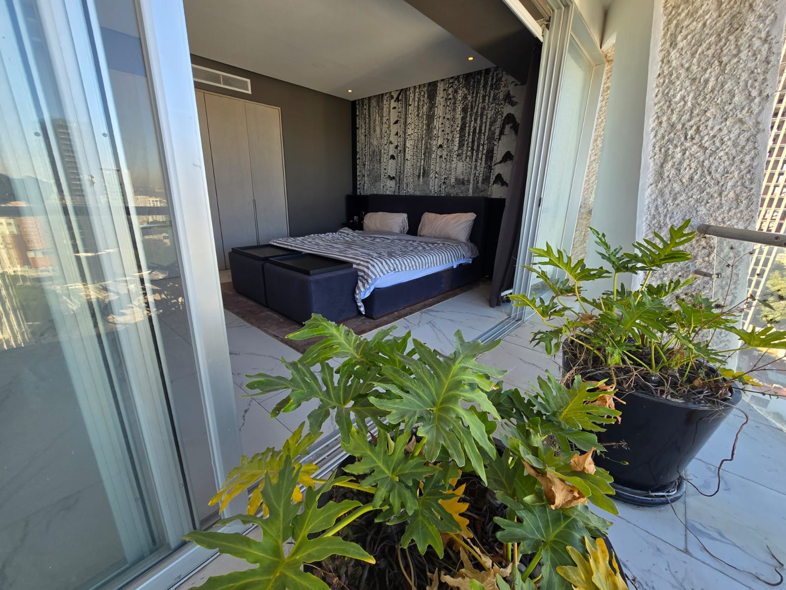 Departamento en Renta en JARDINES DEL COUNTRY, Guadalajara - foto 6 de 22
