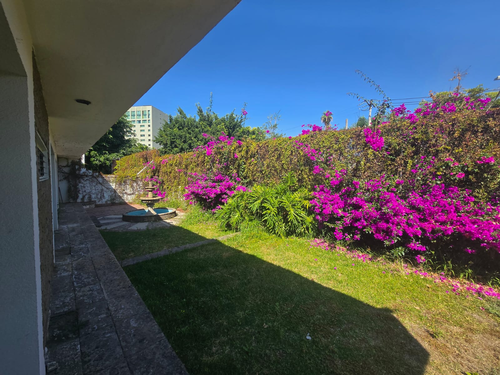 Casa en Renta para Uso Corporativo en Jardines del Bosque Centro, Guadalajara - foto 13 de 24