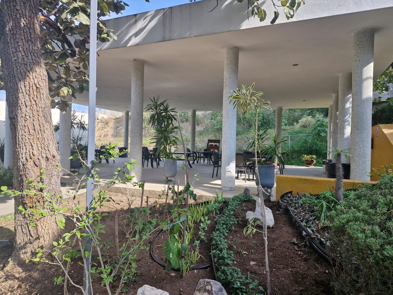 Casa en Venta en Sendas Residencial en Sendas del Valle, Zapopan - foto 37 de 37