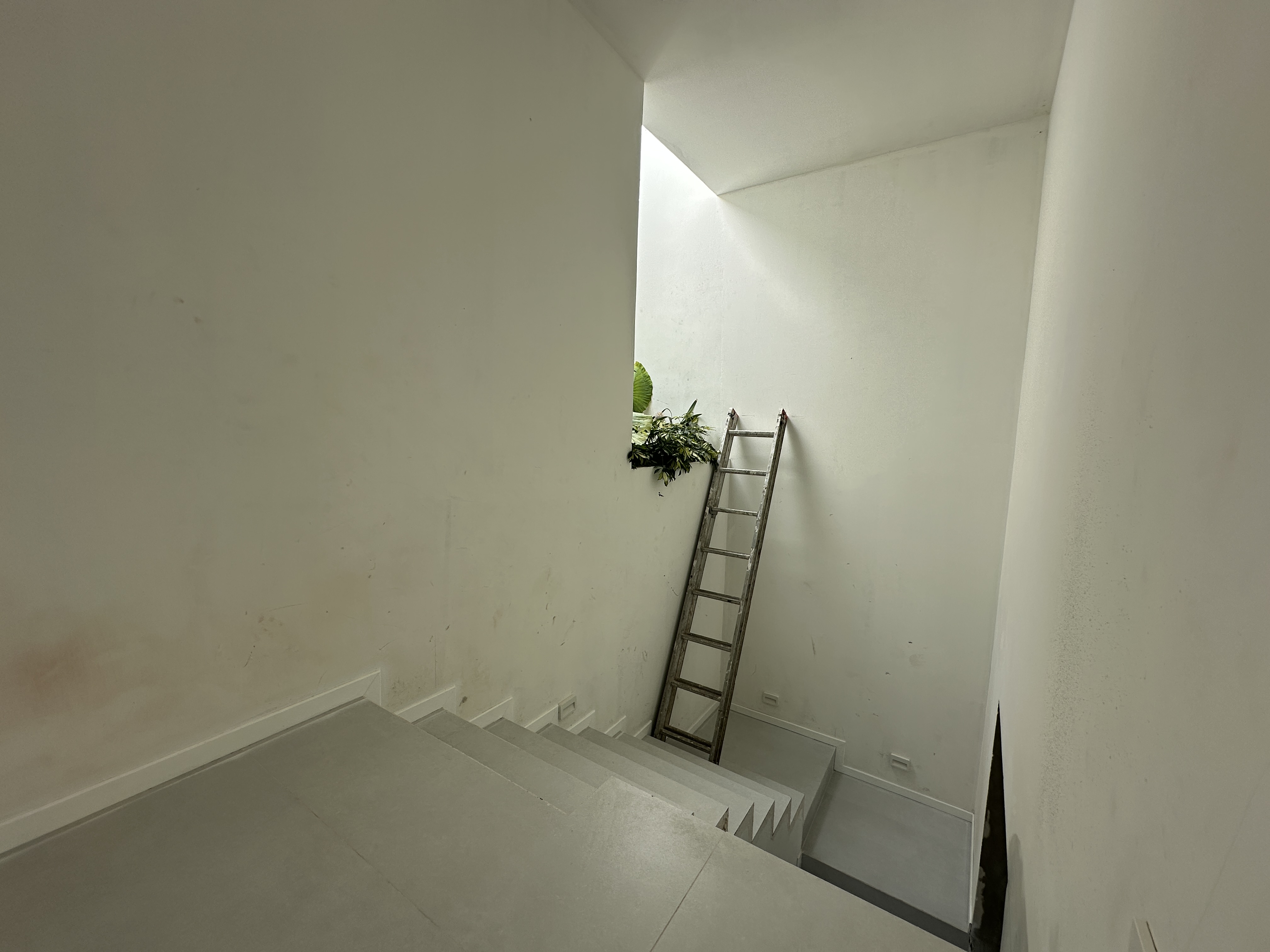 Casa en Venta Bosque Real Tlajomulco  en BOSQUES DE SANTA ANITA, Tlajomulco de Zúñiga - foto 12 de 34