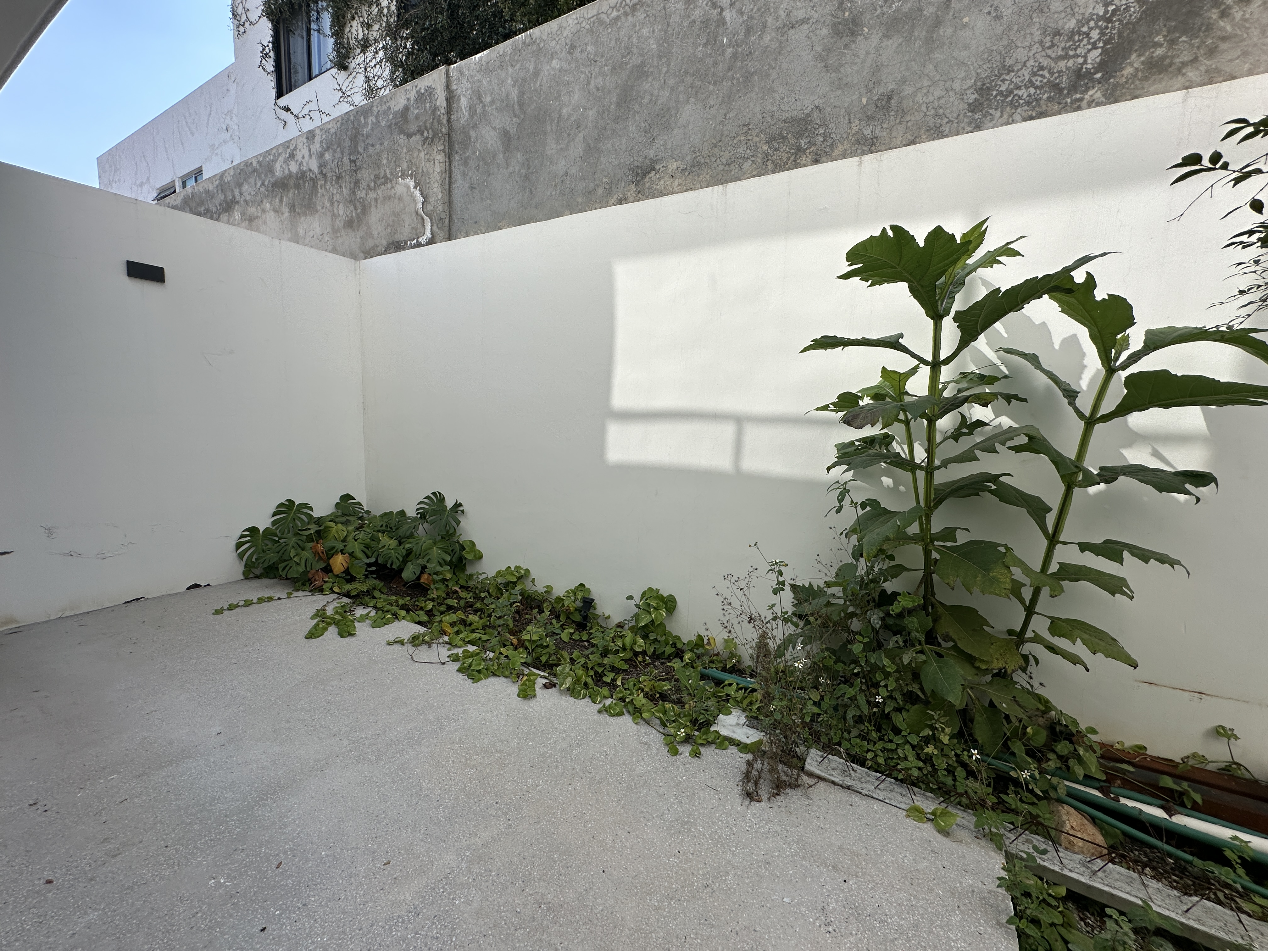 Casa en Venta Bosque Real Tlajomulco  en BOSQUES DE SANTA ANITA, Tlajomulco de Zúñiga - foto 8 de 34