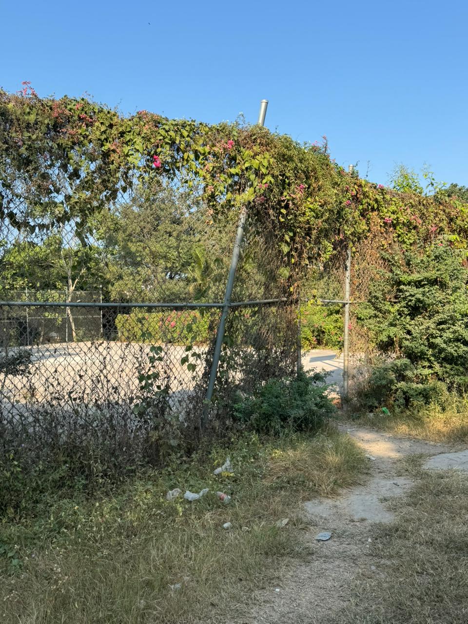 Terreno en Venta  en Volcanes, Puerto Vallarta - foto 12 de 16