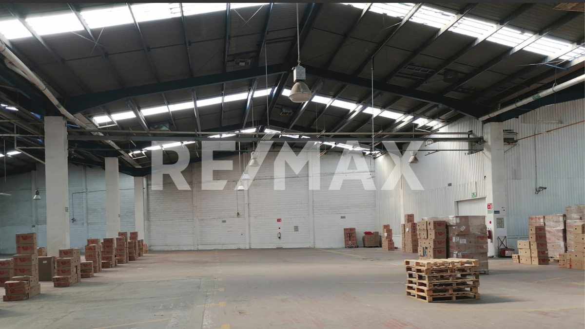 Industrial Warehouse for Rent in Loma Bonita