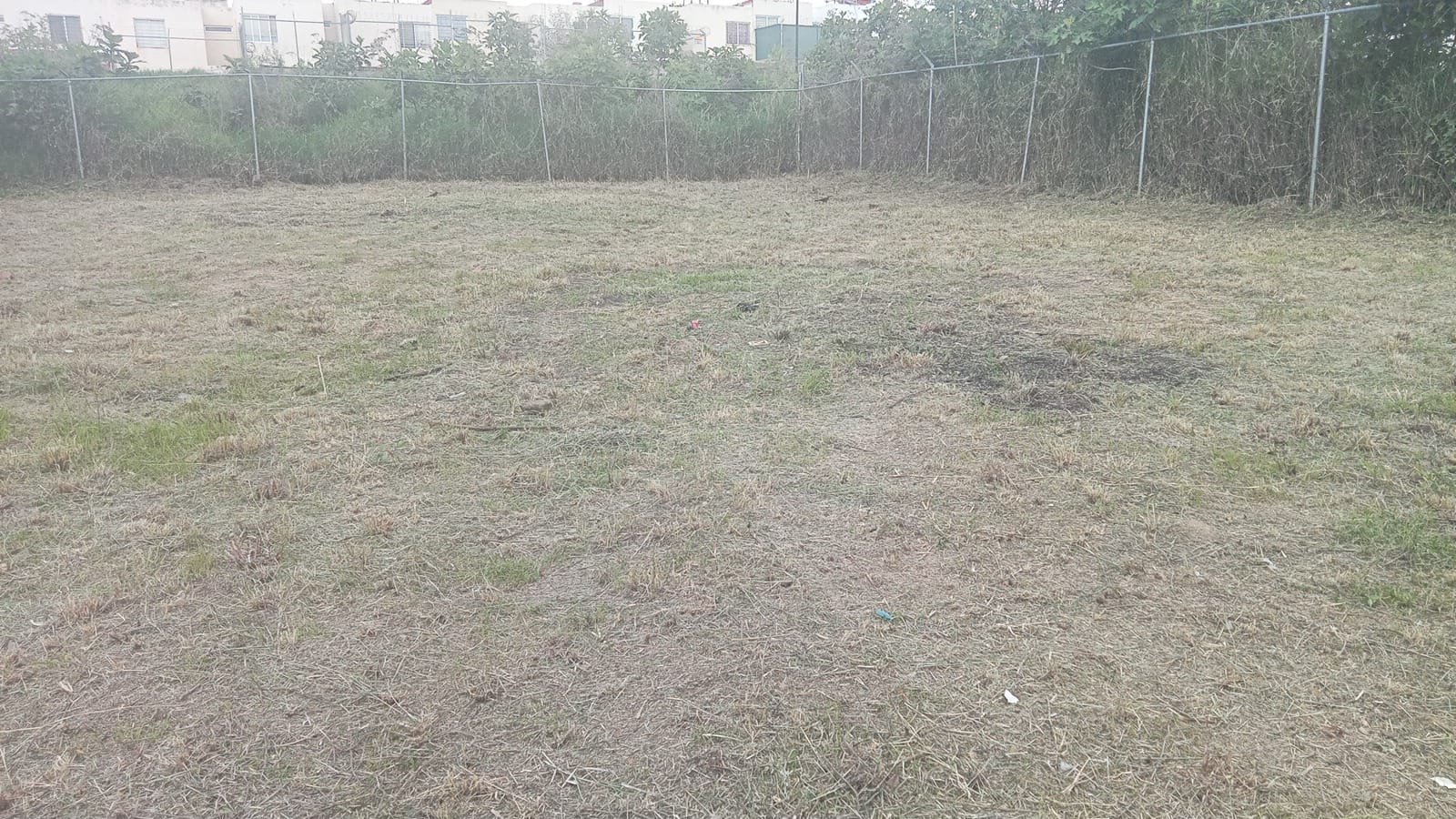 Terreno en Venta  en Nuevo México, Zapopan - foto 6 de 6