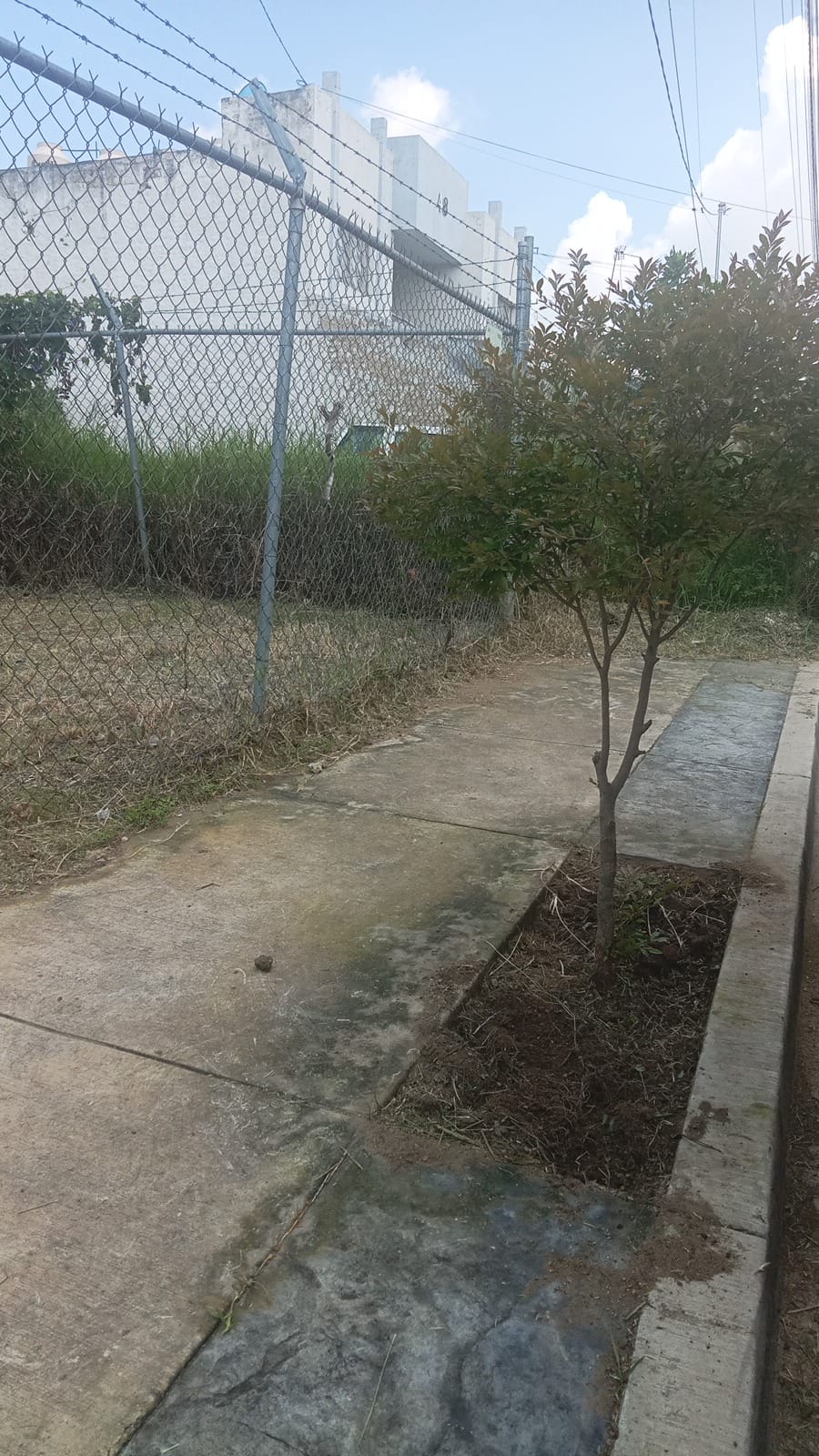 Terreno en Venta  en Nuevo México, Zapopan - foto 2 de 6