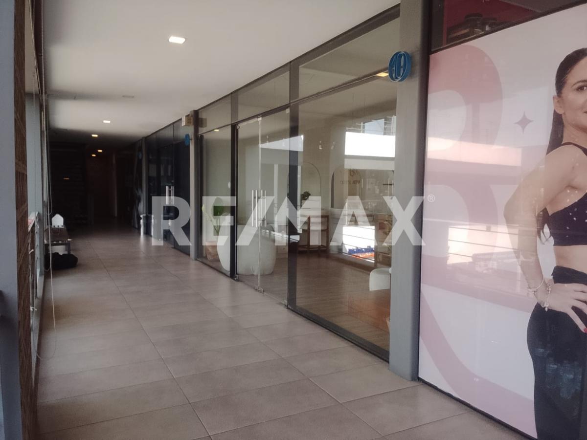 Local en Renta en Lomas del Seminario