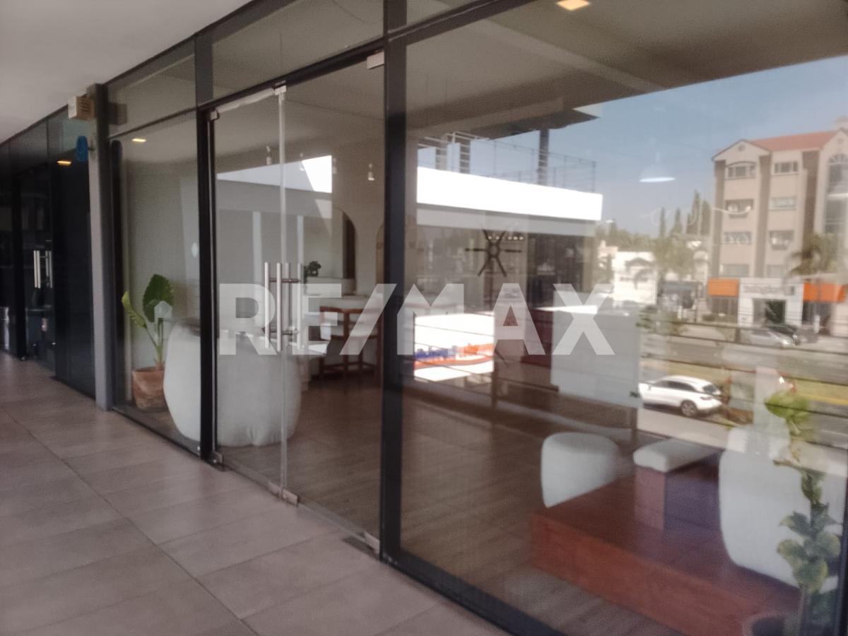 Local en Renta en Lomas del Seminario