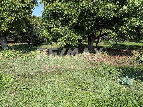 Terreno - Comercial en Renta