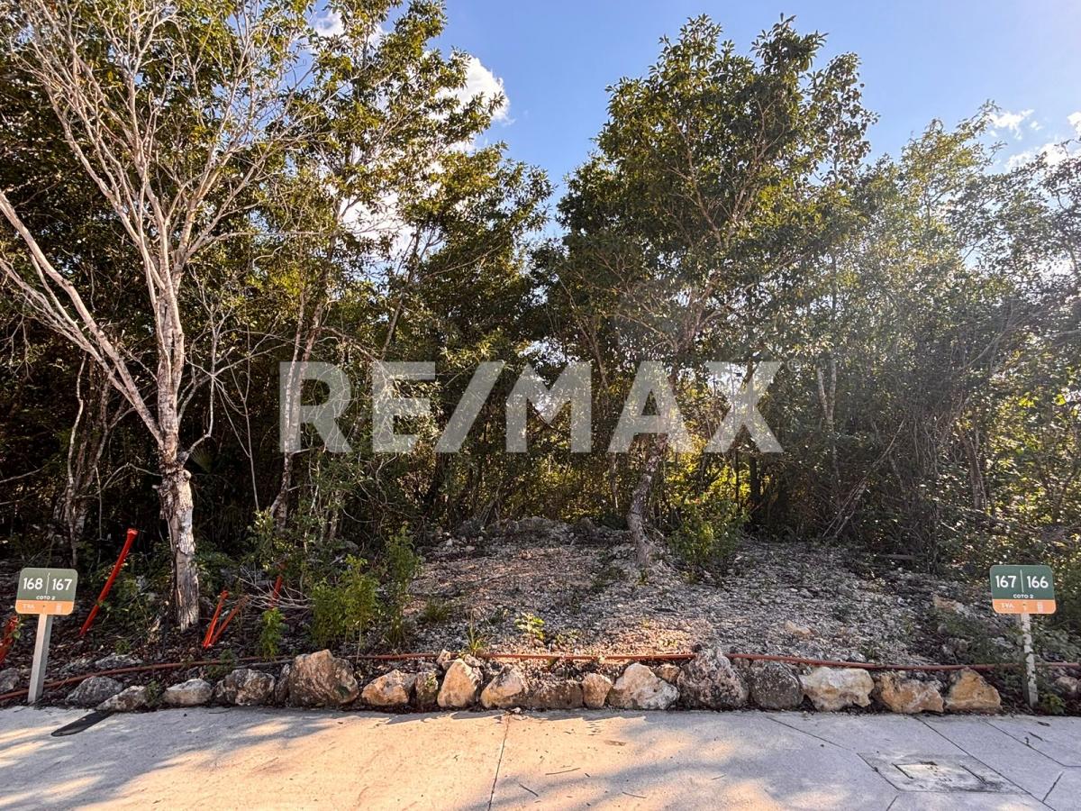 Terreno en Venta en Kulkana en Supermanzana 57, Benito Juárez - foto 14 de 18