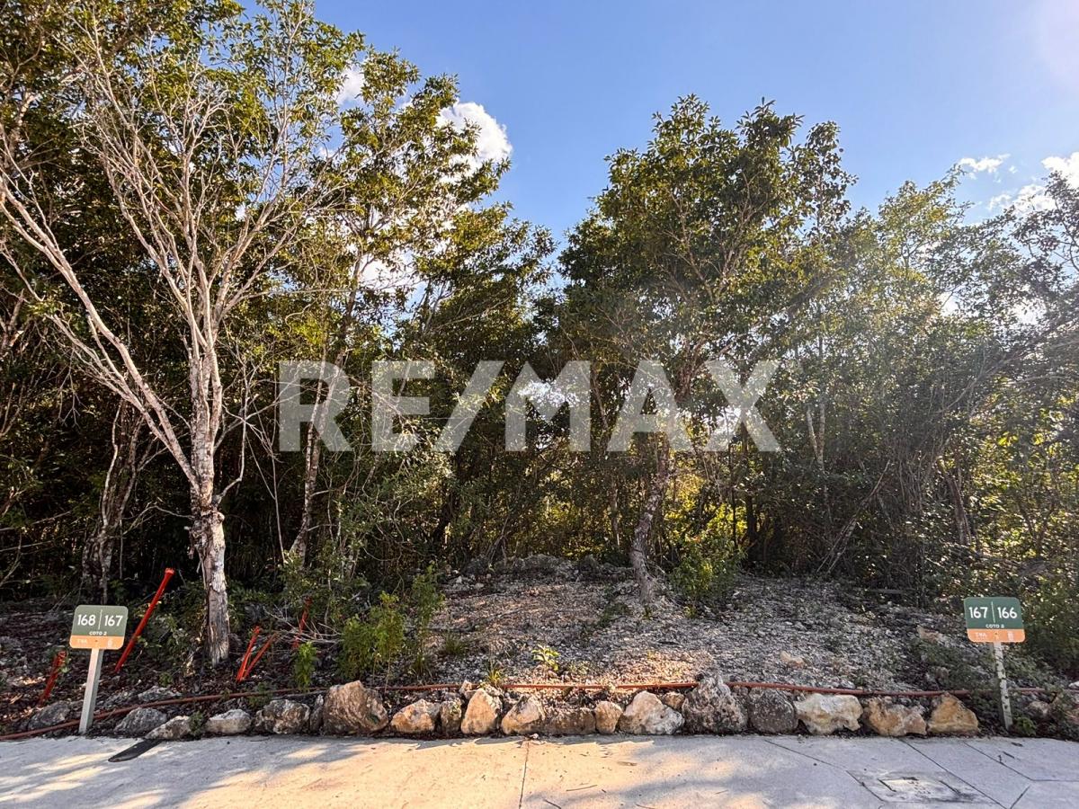 Terreno en Venta en Kulkana en Supermanzana 57, Benito Juárez - foto 13 de 18