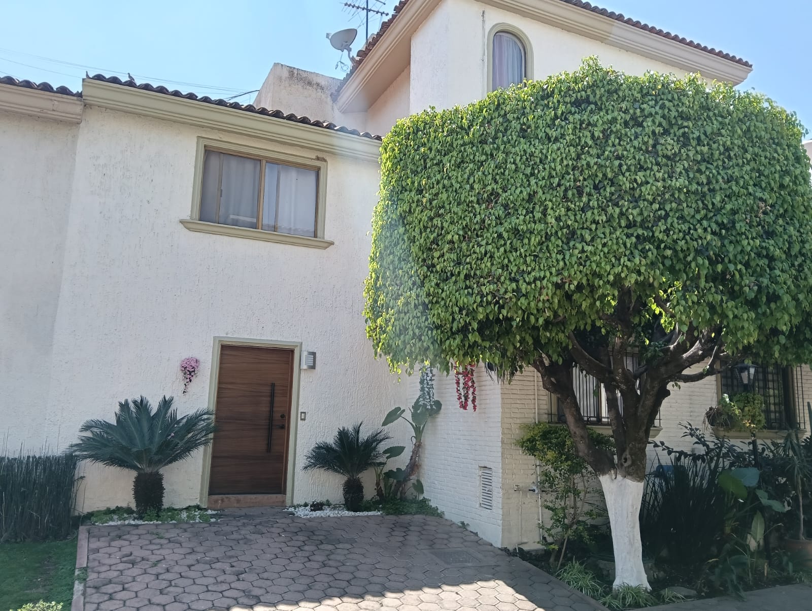 CASA EN VENTA EN COLOMOS PROVIDENCIA