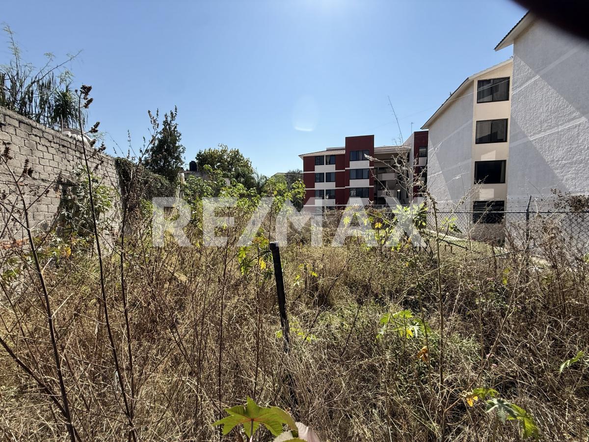 Terreno en VENTA sobre Av. Patria en Prados de Guadalupe, Zapopan - foto 8 de 9