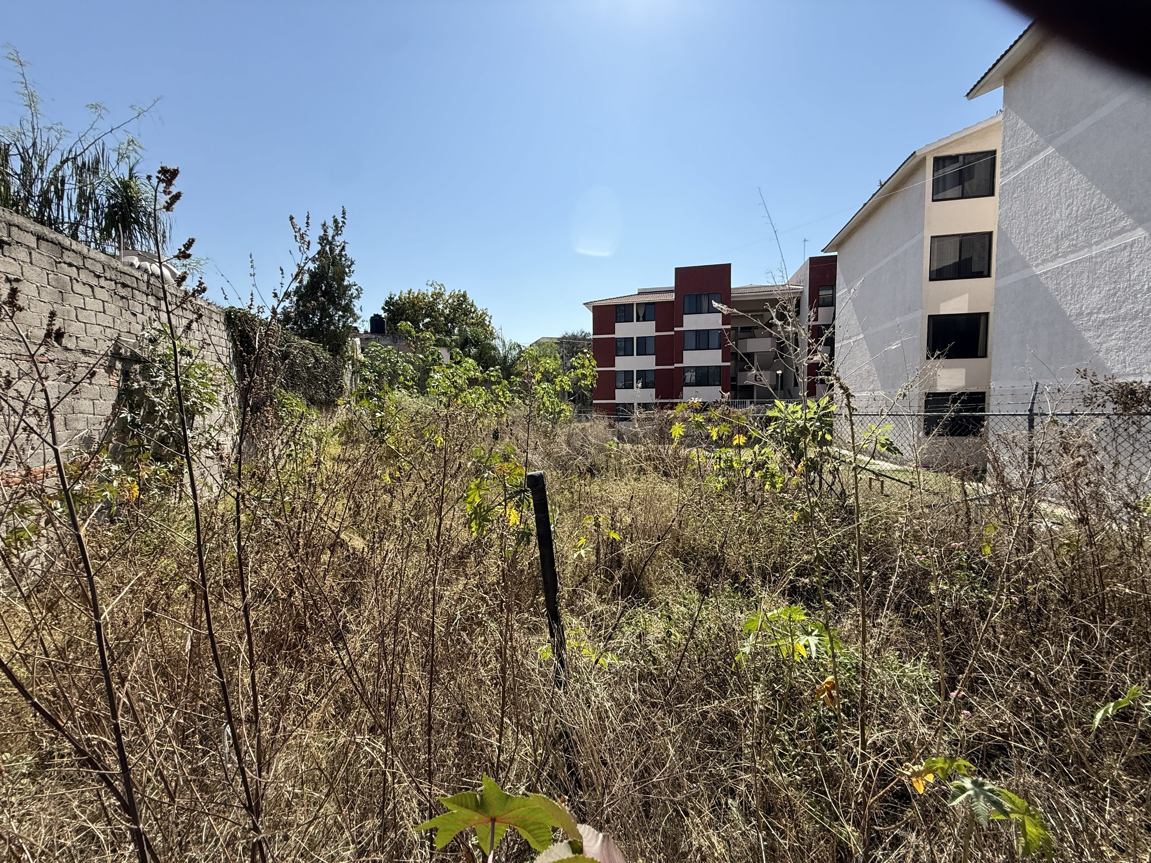 Terreno en VENTA sobre Av. Patria en Prados de Guadalupe, Zapopan - foto 8 de 9