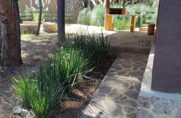 Cabaña en Venta  en Atemajac de Brizuela, Atemajac de Brizuela - foto 8 de 17