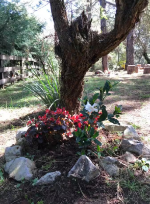 Cabaña en Venta  en Atemajac de Brizuela, Atemajac de Brizuela - foto 14 de 17