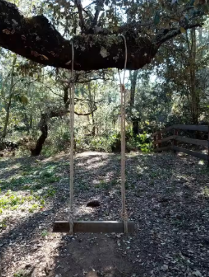 Cabaña en Venta  en Atemajac de Brizuela, Atemajac de Brizuela - foto 13 de 17