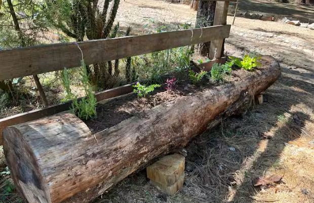 Cabaña en Venta  en Atemajac de Brizuela, Atemajac de Brizuela - foto 12 de 17