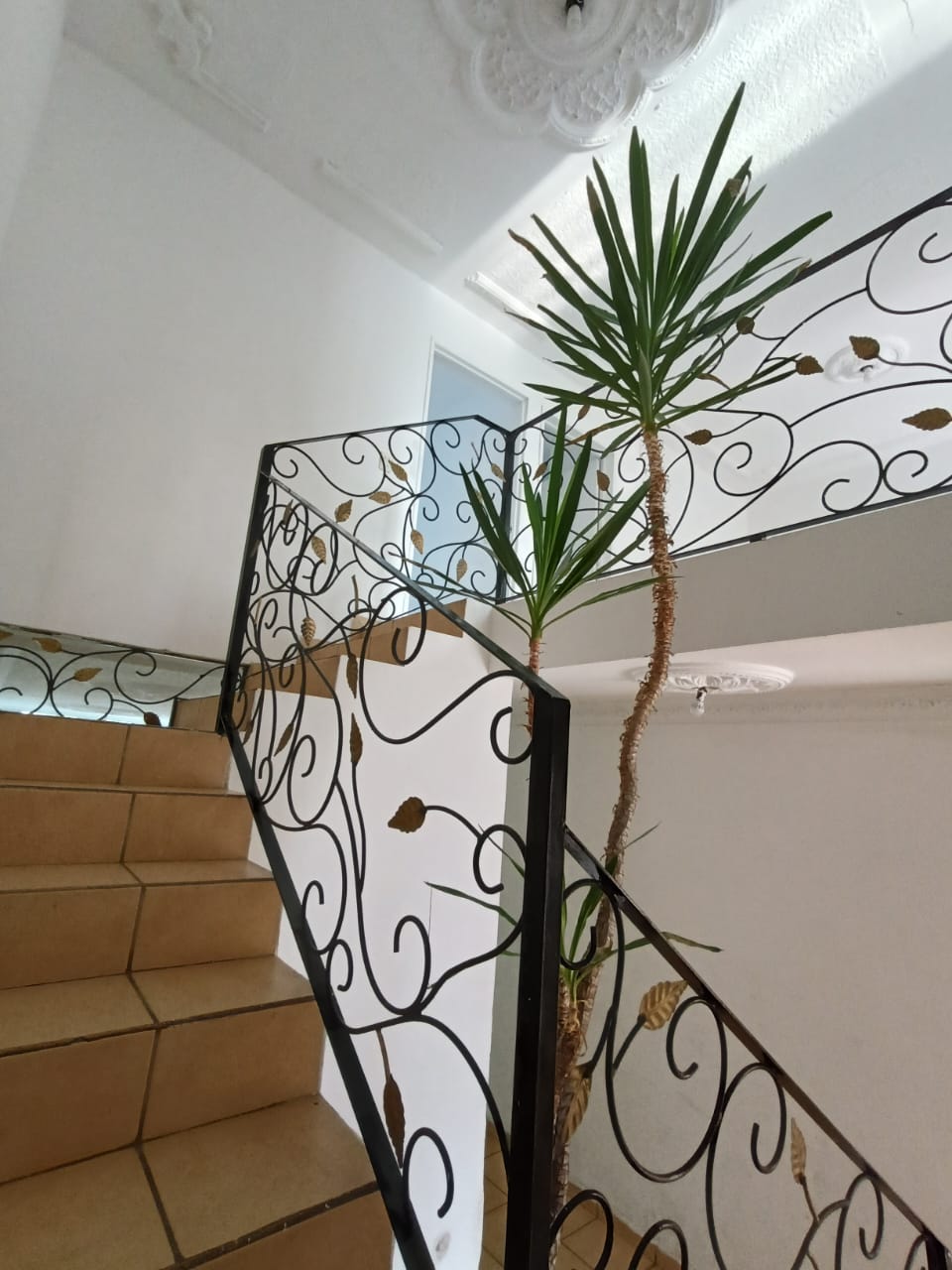 Casa en Venta en La Federacha, Guadalajara - foto 11 de 21