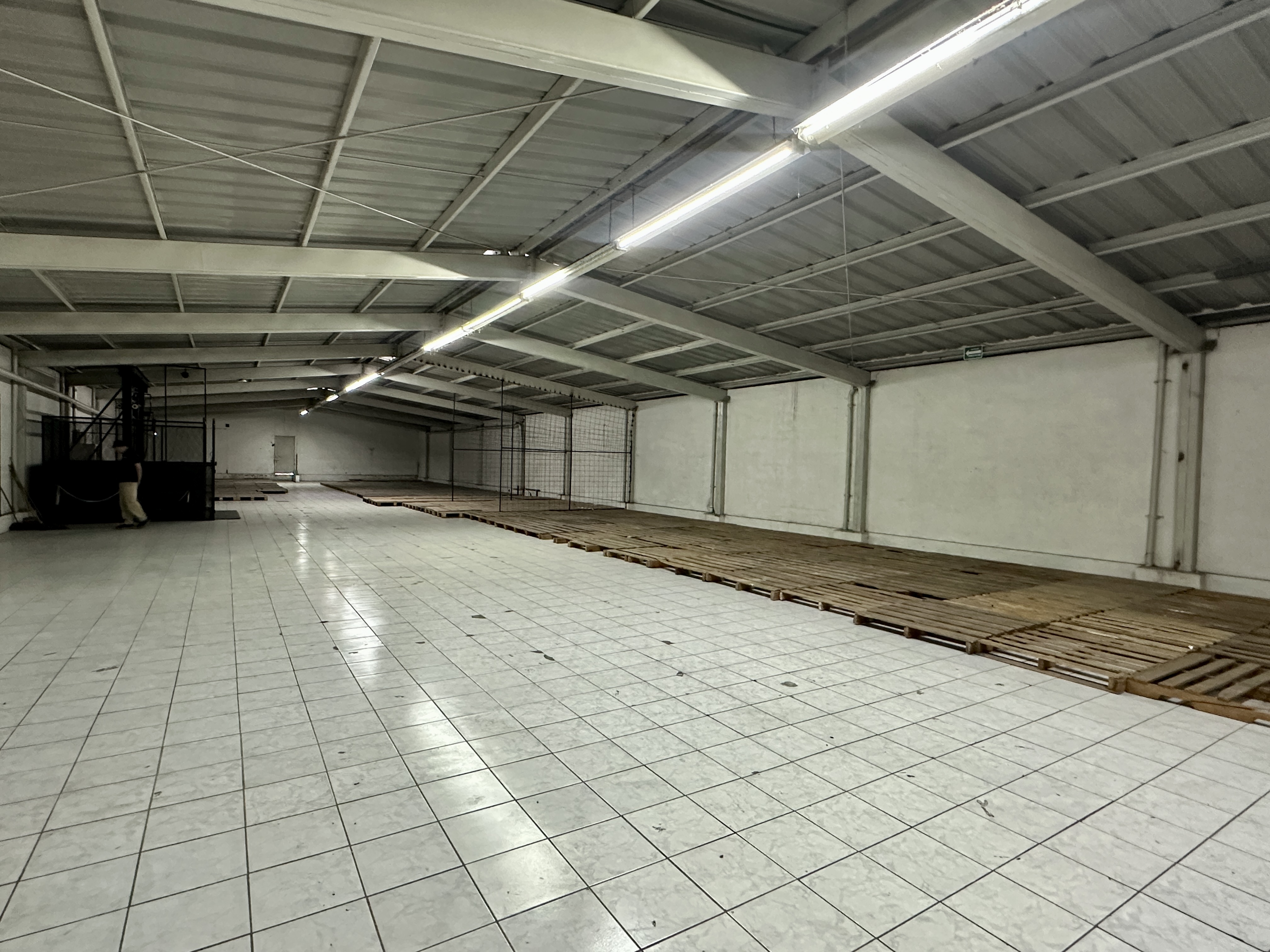 Bodega en Renta en Zona Centro Guadalajara en Santa Teresita, Guadalajara - foto 38 de 40