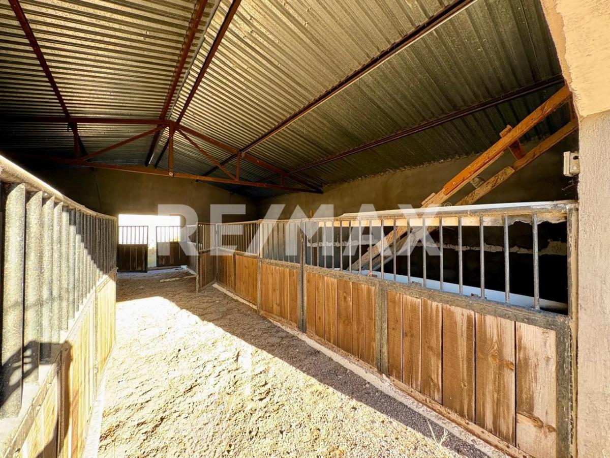 LAND FOR SALE WITH STABLES – LOS TRIGALES, CHIHUAHUA