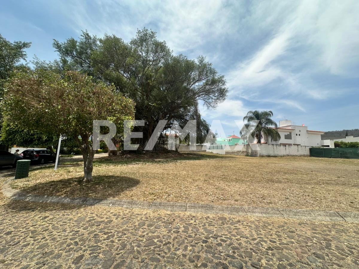 Terreno en Venta en Colinas de Santa Anita