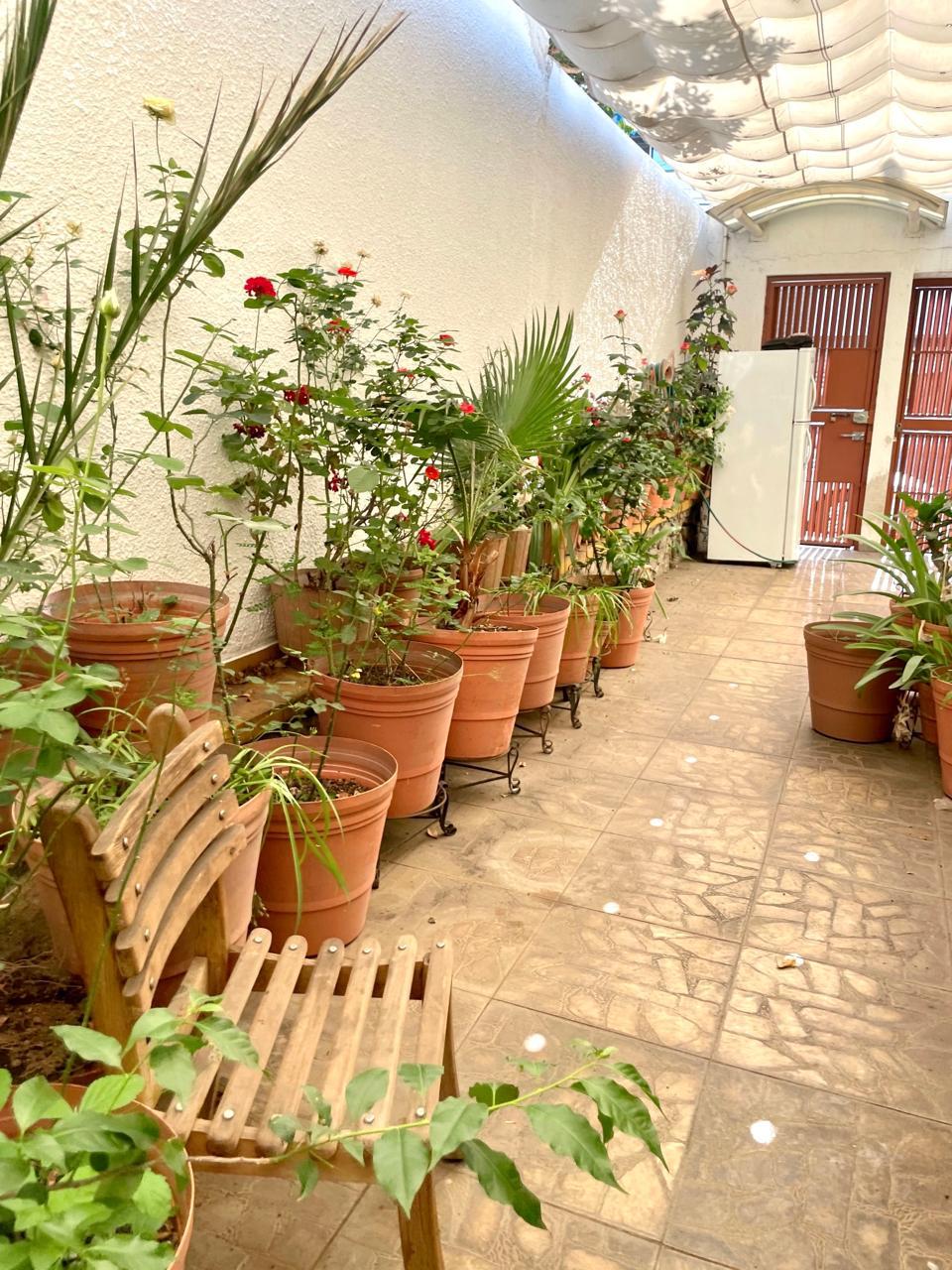 Casa en Venta  en VALLARTA PONIENTE, Guadalajara - foto 14 de 29