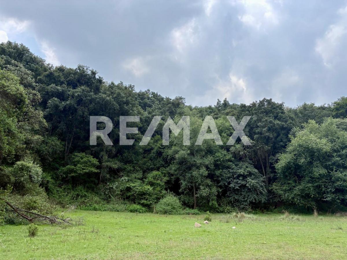 Land for SALE Jilotzingo, Espíritu Santo