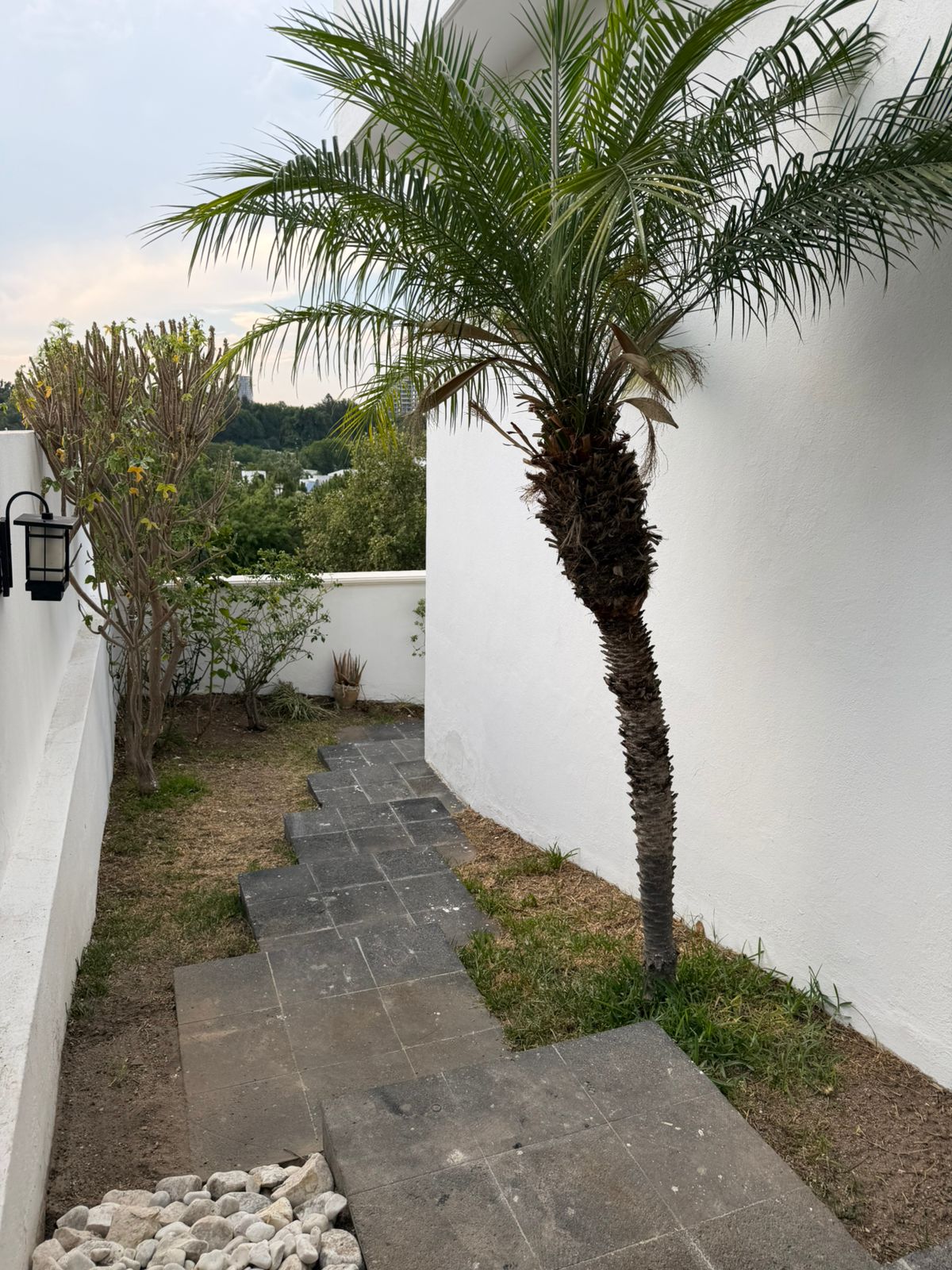 CASA EN RENTA EN PUERTA DEL BOSQUE en PUERTA DEL BOSQUE, Zapopan - foto 17 de 43