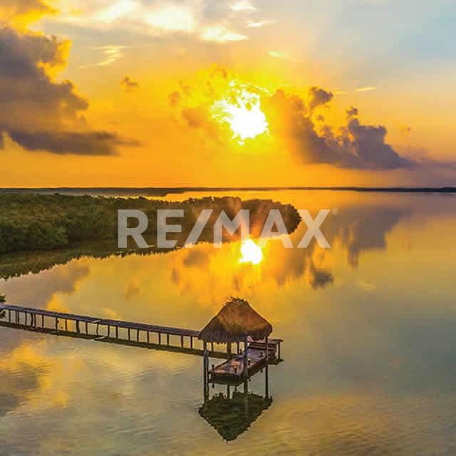 Terreno en Venta en Yucatan en SAN CRISANTO, Sinanché - foto 2 de 4