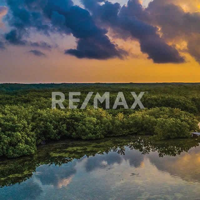 Terreno en Venta en Yucatan en SAN CRISANTO, Sinanché - foto 3 de 4