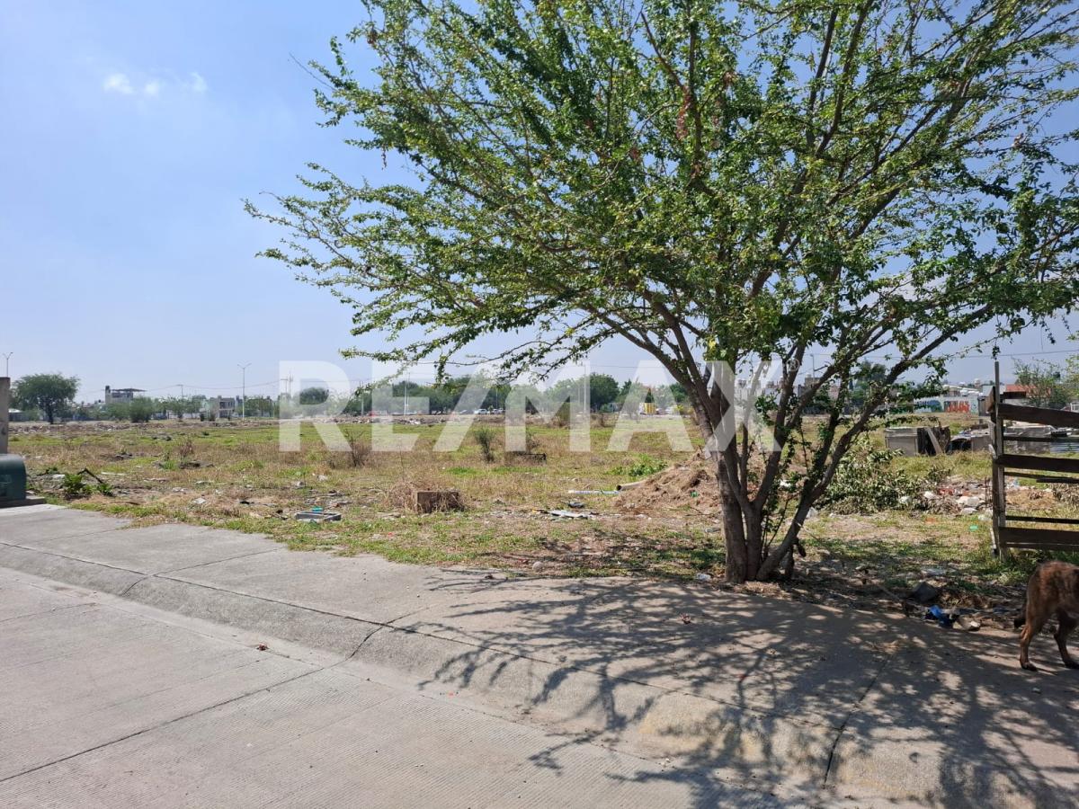 Terreno en Venta en PASEOS DEL VALLE, Tlajomulco de Zúñiga - foto 4 de 12