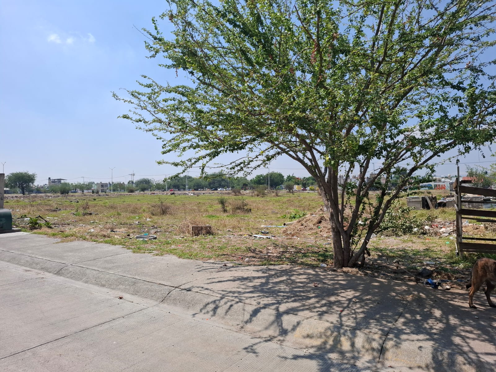Terreno en Venta en PASEOS DEL VALLE, Tlajomulco de Zúñiga - foto 4 de 12