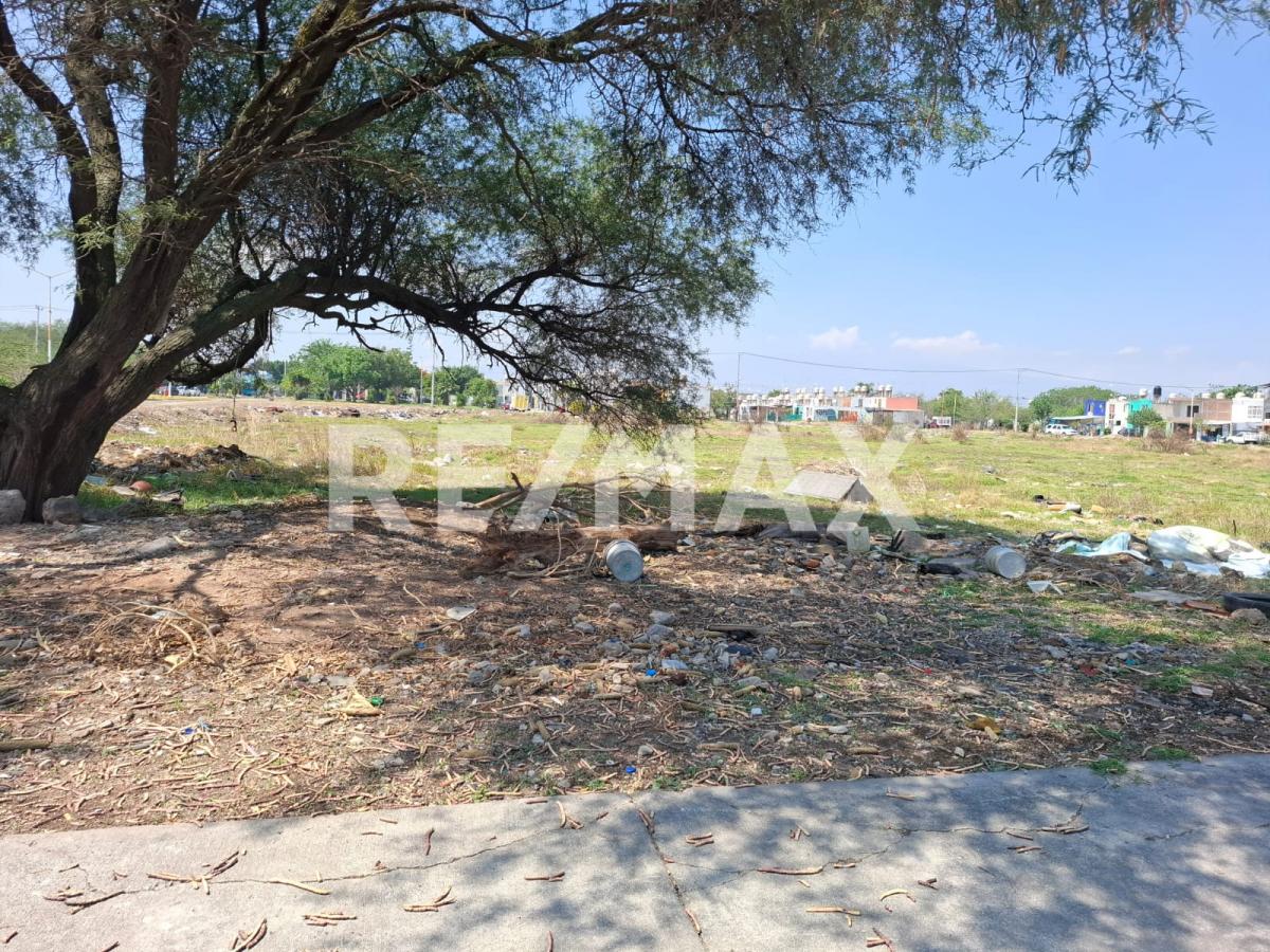 Terreno en Venta en PASEOS DEL VALLE, Tlajomulco de Zúñiga - foto 8 de 12