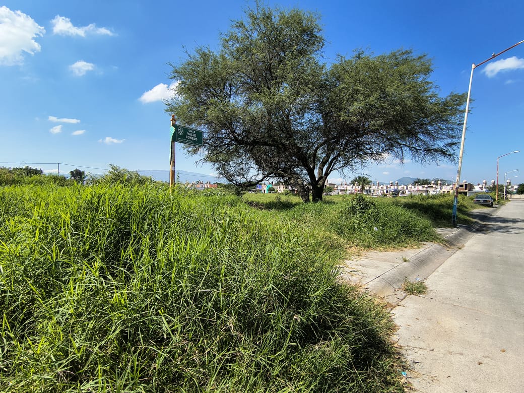 Terreno en Venta