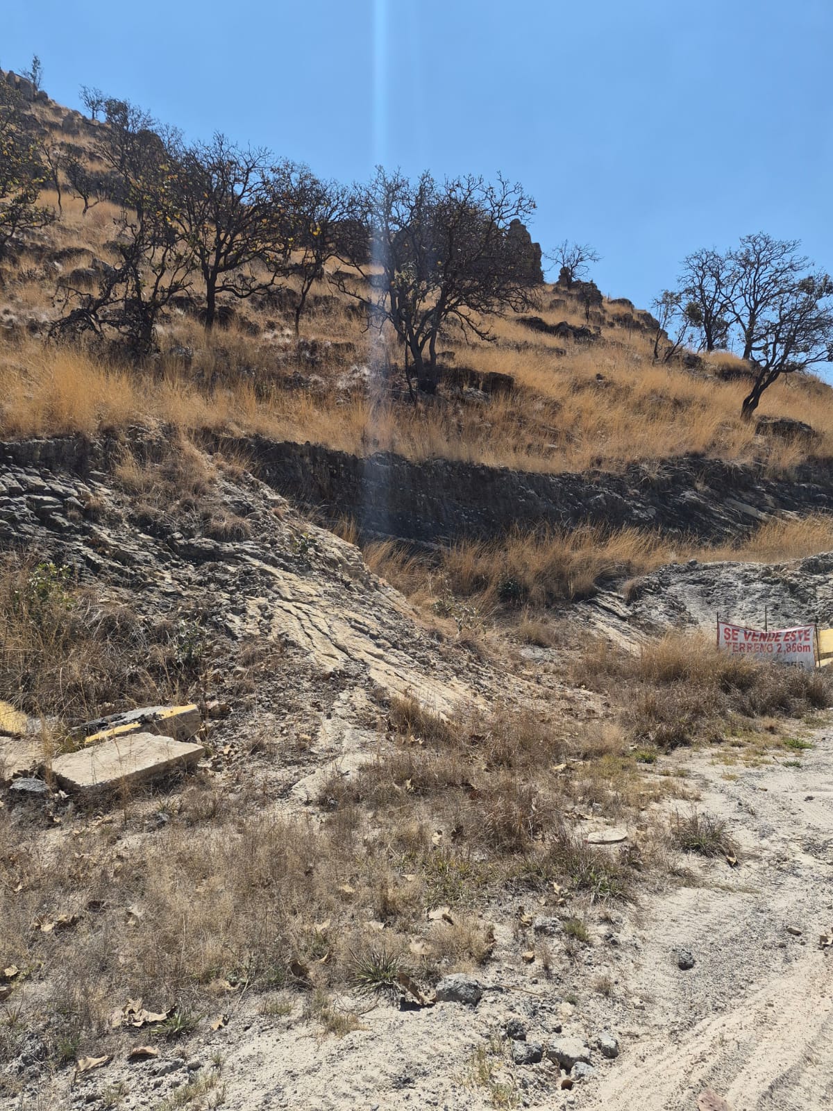 Terreno en Venta en Hacienda Cópala, Zapopan - foto 9 de 11